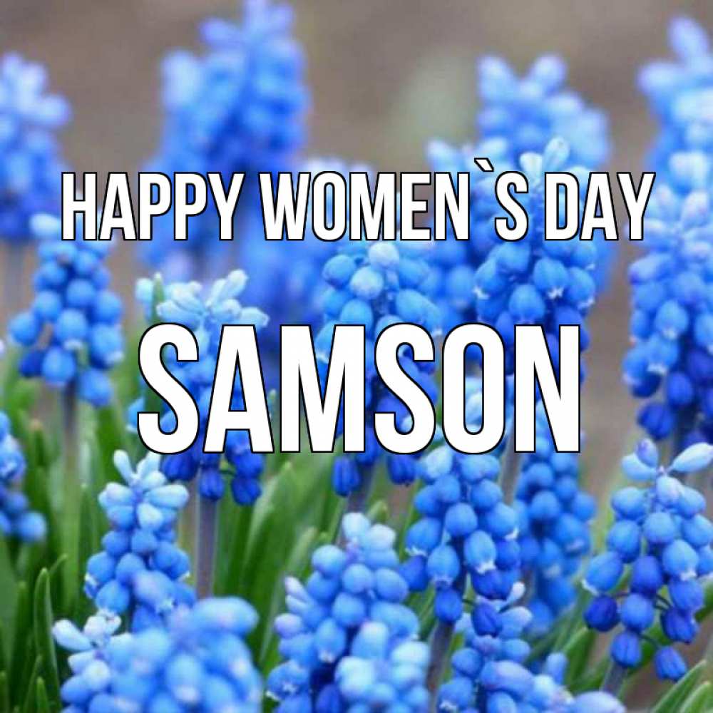 Greetings card с именем, Samson happy women`s day Поздравительная открытка для женщин с цветами на праздничную дату Greetings with text for free download 